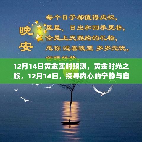 黄金时光之旅，探寻内心宁静与自然的奥秘在黄金市场预测中的启示（12月14日实时预测）