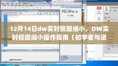 DW实时视图缩小操作指南，初学者与进阶用户适用（12月14日更新）