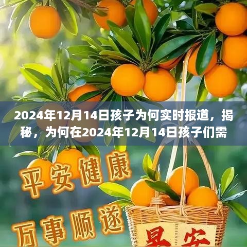 揭秘，为何在特定日期——2024年12月14日，孩子们需要实时报道的背后原因？