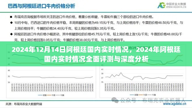 2024年12月17日 第13页