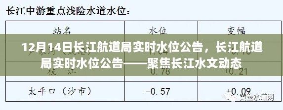 长江航道局实时水位公告，聚焦长江水文动态最新动态