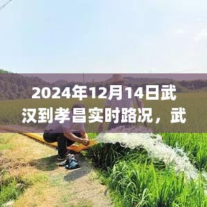 2024年12月17日 第8页