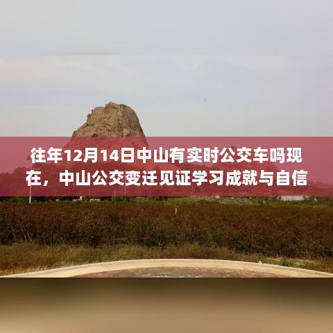 中山公交变迁见证学习成就与自信，历年十二月公交发展及励志故事回顾