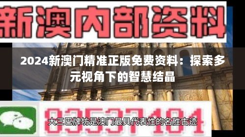 2024新澳门精准正版免费资料：探索多元视角下的智慧结晶