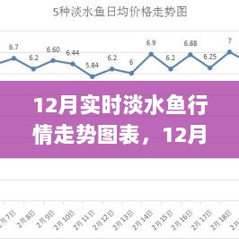 深度解析，淡水鱼市场波动背后的故事与影响——12月实时行情走势图表分析