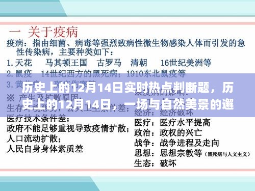 历史上的12月14日，与自然美景的邂逅之旅，寻找内心的宁静与平和的实时热点判断题回顾