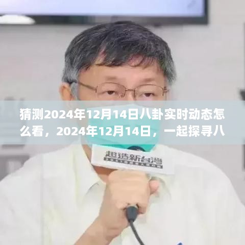 探寻情感纽带与日常奥秘，揭秘2024年12月14日八卦实时动态解析