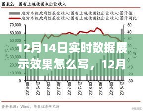 12月14日实时数据展示效果，全面评测与详细介绍