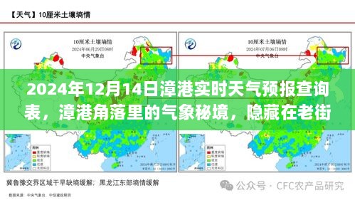 漳港天气预报查询表，角落里的气象秘境与天气预报特色小店揭秘