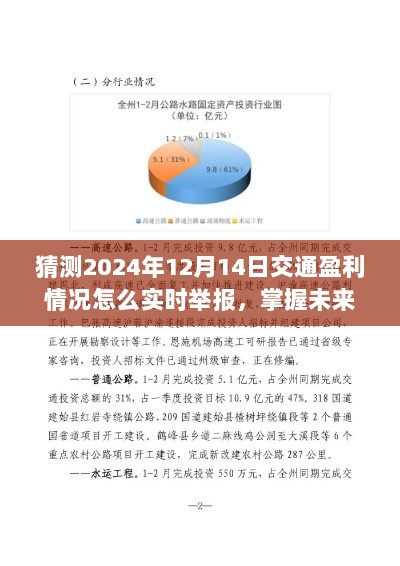 实时举报交通盈利状况，共建和谐出行环境，掌握未来交通盈利预测与举报策略，2024年12月14日指南