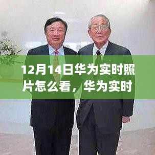 华为实时照片，与自然美景的不解之缘，如何查看12月14日实时照片记录