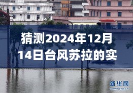 揭秘预测中的台风苏拉实时动态图，揭秘2024年12月14日风暴轨迹与动态预测图展示