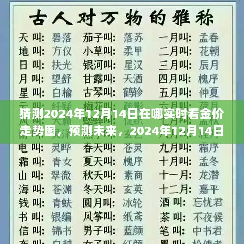 揭秘，如何实时观测2024年12月14日金价走势图，洞悉未来黄金市场动向