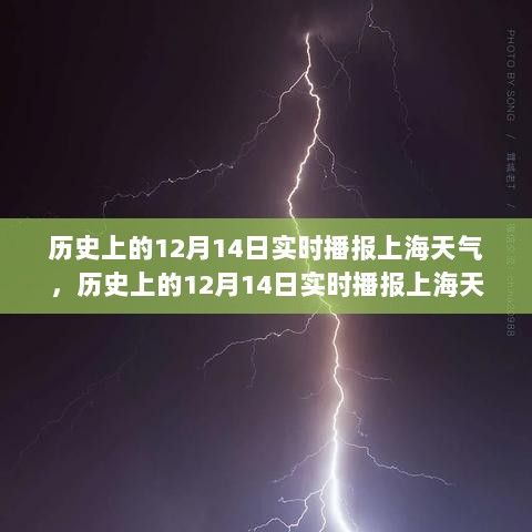 历史上的12月14日上海实时天气播报与全面评测介绍