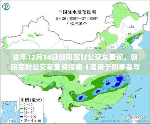 朝阳实时公交车查询指南，适用于初学者与进阶用户，以12月14日为例详解查询流程