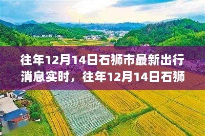 往年12月14日石狮市出行消息实时更新与全面评测介绍