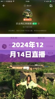 探秘小巷深处的直播秘境，特色小店的实时维护之旅纪实分享（直播维护篇）