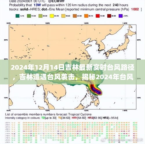 揭秘吉林遭遇台风袭击，台风路径与深远影响揭秘（实时更新）