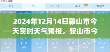 鞍山市天气预报深度解析，2024年12月14日天气状况