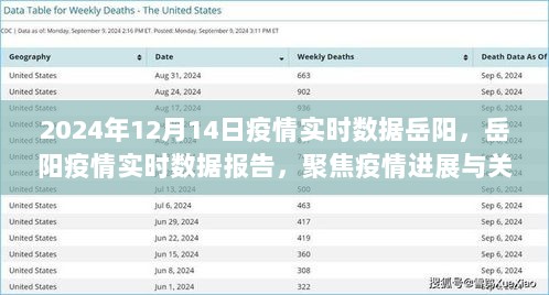 岳阳疫情实时数据报告（2024年12月14日），聚焦疫情进展与关键分析