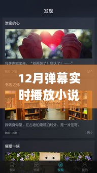 科技革新视界，重新定义阅读体验——12月弹幕实时播放小说网