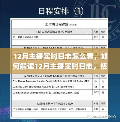 解析12月主播实时日志，核心要点解读与指南