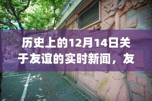 友谊之巷的宝藏小店，历史与魅力的独特故事，实时新闻回顾历史上的今天（12月14日）