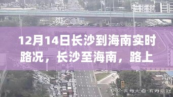 长沙至海南温情之旅，实时路况与暖心陪伴（12月14日）