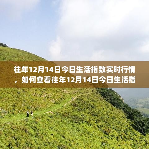 查看往年12月14日生活指数实时行情指南，初学者与进阶用户必备指南