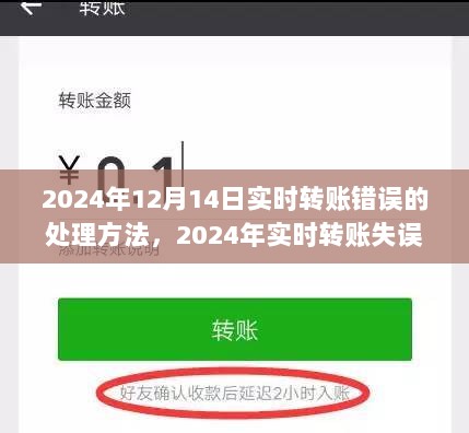 2024年实时转账失误处理方法与深度解析