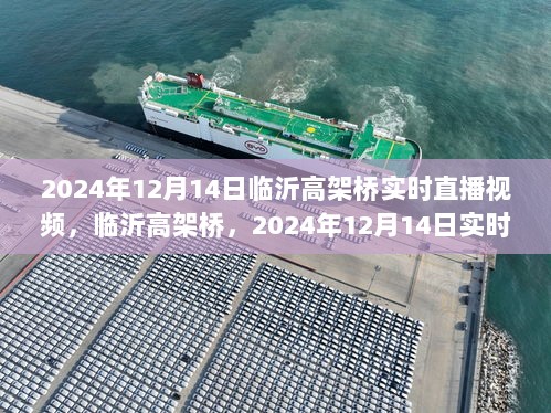 临沂高架桥，实时直播下的城市脉动 2024年12月14日直播视频回顾