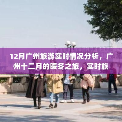 广州十二月暖冬之旅，实时旅游情况深度解析与最新动态分析