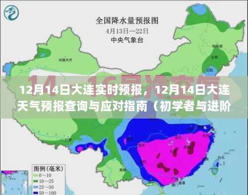 12月14日大连天气预报及应对指南，初学者与进阶用户必备参考