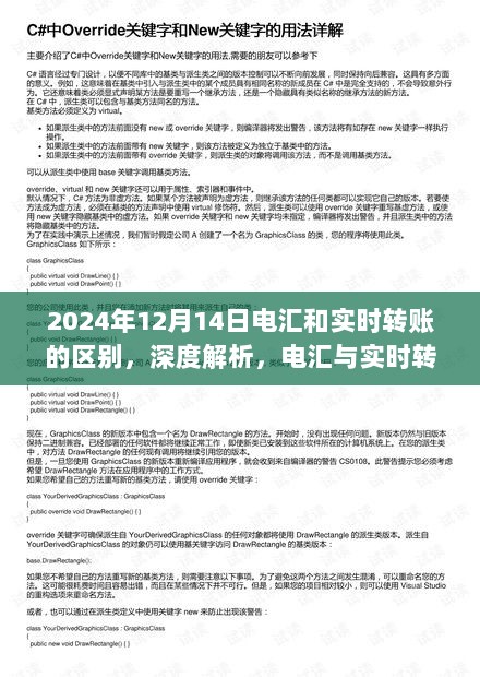 电汇与实时转账深度解析，差异性详解与未来展望（以2024年12月14日为界）