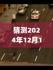 庐江秘境探秘，启程于未来邂逅自然美景的不期之旅（预测2024年12月）