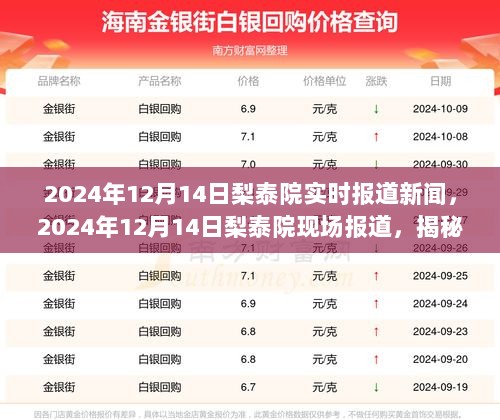 揭秘梨泰院最新动态，现场报道直击梨泰院实时新闻 2024年12月14日更新