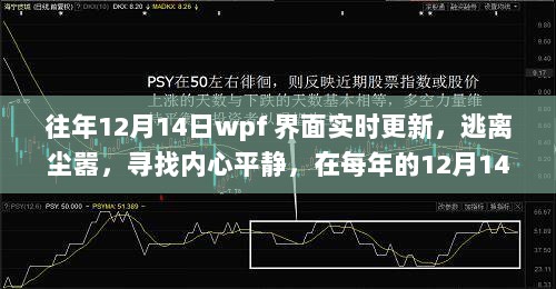 年终WPF界面之旅，逃离尘嚣，寻找内心平静，实时更新体验奇妙旅程