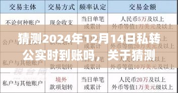 关于猜测私转公实时到账的探讨，聚焦2024年12月14日的时间点分析