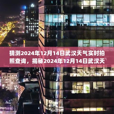 揭秘武汉天气预报，预测与实时拍照分享，2024年12月14日武汉天气实时更新与分享体验