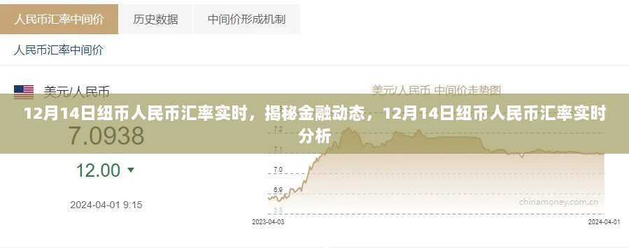 揭秘金融动态，12月14日纽币人民币汇率实时及分析揭秘