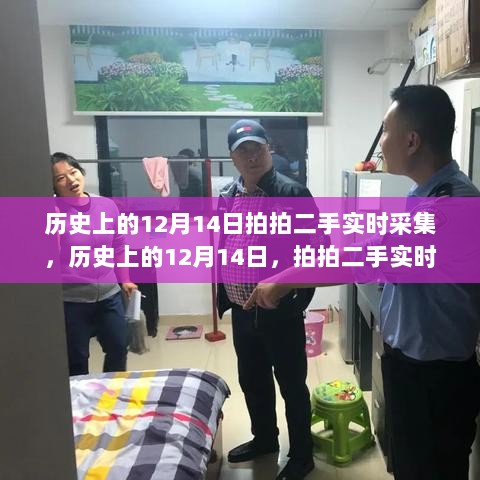 关于拍拍二手实时采集的利弊分析，历史上的12月14日回顾与启示