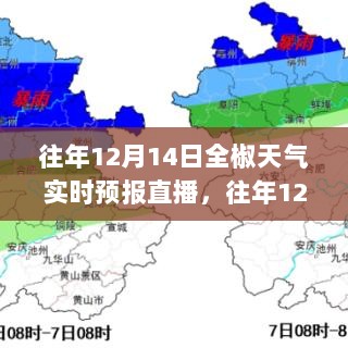 往年12月14日全椒天气实时预报直播，洞悉气象变化，保障出行安全