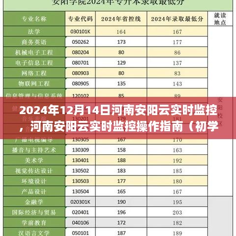 河南安阳云实时监控操作指南，从初学者到进阶用户的全方位指导（2024年12月14日）