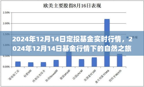 2024年12月14日基金行情下的自然之旅，定投探索内心宁静与美景