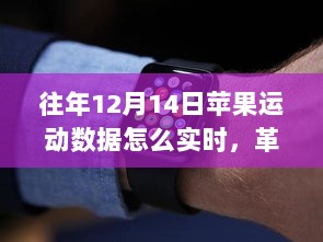 革命性突破，苹果运动数据实时追踪，感受科技脉动在12月14日的魅力展现