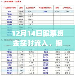 2024年12月20日 第16页