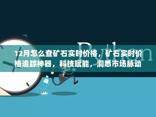 科技赋能，矿石实时价格追踪神器，洞悉市场脉动在12月