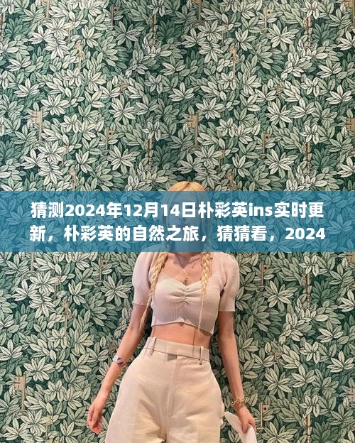 朴彩英2024年12月14日自然之旅猜想，绝美风光待揭晓