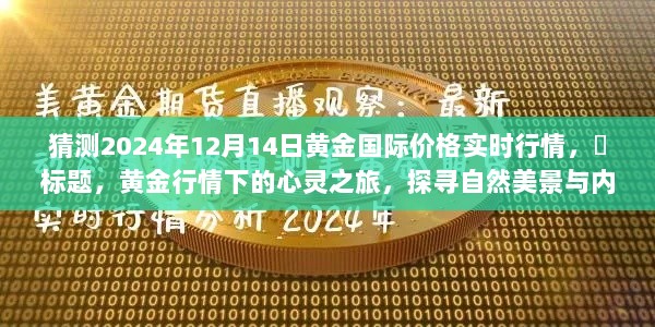 黄金行情预测，探寻自然美景与内心平静的交汇点——黄金国际价格实时行情展望（XXXX年黄金市场深度解析）