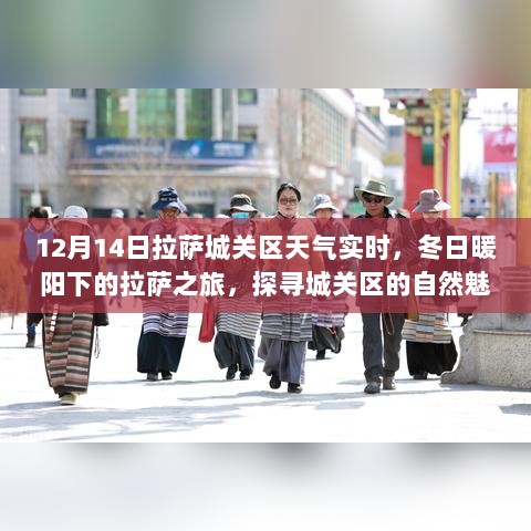 冬日暖阳下的拉萨城关区之旅，探寻自然魅力与内心平静（实时天气报告）